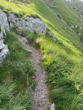 Na divjih poteh Jahorine Erjavšek tretji v cilju (4)